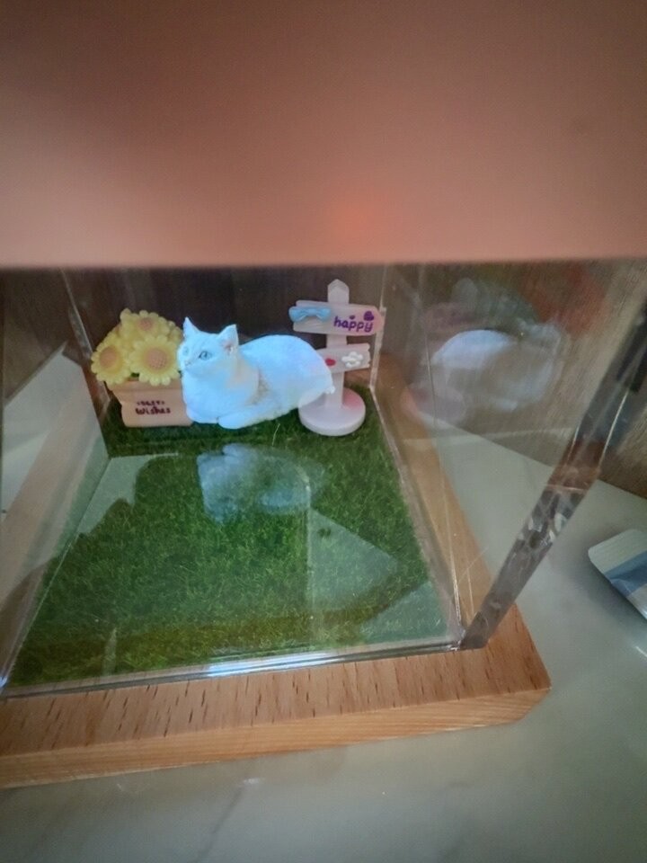 Qiuball